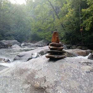 Meet your Posher, Chrissy